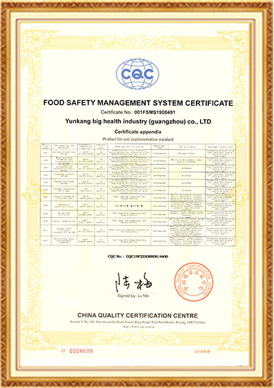 尊龙凯时ISO22000英文版2